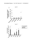 N-DOMAIN OF CARCINOEMBRYONIC ANTIGEN AND COMPOSITIONS, METHODS AND USES     THEREOF diagram and image