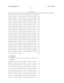 INFECTIOUS cDNA CLONE OF NORTH AMERICAN PORCINE REPRODUCTIVE AND     RESPIRATORY SYNDROME (PRRS) VIRUS AND USES THEREOF diagram and image