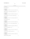 INFECTIOUS cDNA CLONE OF NORTH AMERICAN PORCINE REPRODUCTIVE AND     RESPIRATORY SYNDROME (PRRS) VIRUS AND USES THEREOF diagram and image