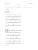 INFECTIOUS cDNA CLONE OF NORTH AMERICAN PORCINE REPRODUCTIVE AND     RESPIRATORY SYNDROME (PRRS) VIRUS AND USES THEREOF diagram and image