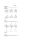 INFECTIOUS cDNA CLONE OF NORTH AMERICAN PORCINE REPRODUCTIVE AND     RESPIRATORY SYNDROME (PRRS) VIRUS AND USES THEREOF diagram and image