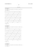 INFECTIOUS cDNA CLONE OF NORTH AMERICAN PORCINE REPRODUCTIVE AND     RESPIRATORY SYNDROME (PRRS) VIRUS AND USES THEREOF diagram and image