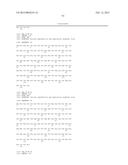 INFECTIOUS cDNA CLONE OF NORTH AMERICAN PORCINE REPRODUCTIVE AND     RESPIRATORY SYNDROME (PRRS) VIRUS AND USES THEREOF diagram and image