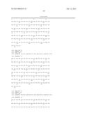 INFECTIOUS cDNA CLONE OF NORTH AMERICAN PORCINE REPRODUCTIVE AND     RESPIRATORY SYNDROME (PRRS) VIRUS AND USES THEREOF diagram and image