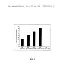 Oral Vaccine For Borrelia diagram and image