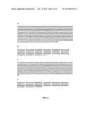 Oral Vaccine For Borrelia diagram and image