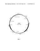 METHYLOTROPHS FOR AQUACULTURE AND ANIMAL FEED diagram and image