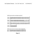 METHODS OF CONTROLLING FRUCTAN SYNTHESIS IN PLANTS diagram and image