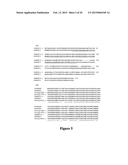 METHODS OF CONTROLLING FRUCTAN SYNTHESIS IN PLANTS diagram and image