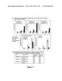 METHODS OF CONTROLLING FRUCTAN SYNTHESIS IN PLANTS diagram and image