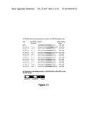 METHODS OF CONTROLLING FRUCTAN SYNTHESIS IN PLANTS diagram and image