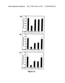 METHODS OF CONTROLLING FRUCTAN SYNTHESIS IN PLANTS diagram and image