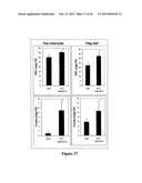 METHODS OF CONTROLLING FRUCTAN SYNTHESIS IN PLANTS diagram and image