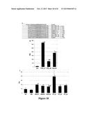 METHODS OF CONTROLLING FRUCTAN SYNTHESIS IN PLANTS diagram and image