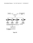 METHODS OF CONTROLLING FRUCTAN SYNTHESIS IN PLANTS diagram and image