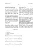 METHODS OF CONTROLLING FRUCTAN SYNTHESIS IN PLANTS diagram and image