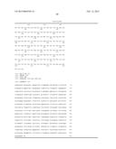 METHODS OF CONTROLLING FRUCTAN SYNTHESIS IN PLANTS diagram and image