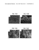 PHYSICAL VAPOR DEPOSITION APPARATUS AND PHYSICAL VAPOR DEPOSITION METHOD diagram and image