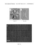 NANO-GAP ARTICLES AND METHODS OF MANUFACTURE diagram and image