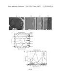 NANO-GAP ARTICLES AND METHODS OF MANUFACTURE diagram and image