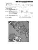 POROUS TONER AND PROCESS FOR MAKING THE SAME diagram and image