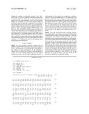 METHOD TO PREDICT THE PATTERN OF LOCOMOTION IN HORSES diagram and image