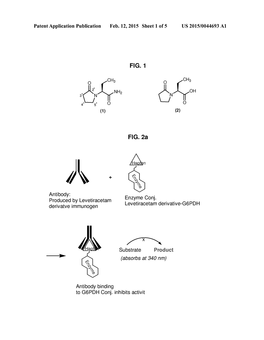 Levetiracetam Immunoassays - diagram, schematic, and image 02