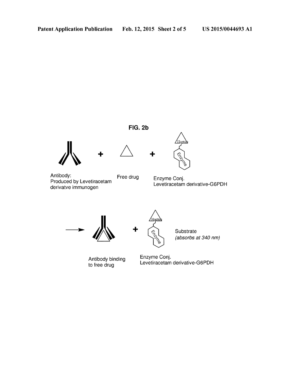 Levetiracetam Immunoassays - diagram, schematic, and image 03
