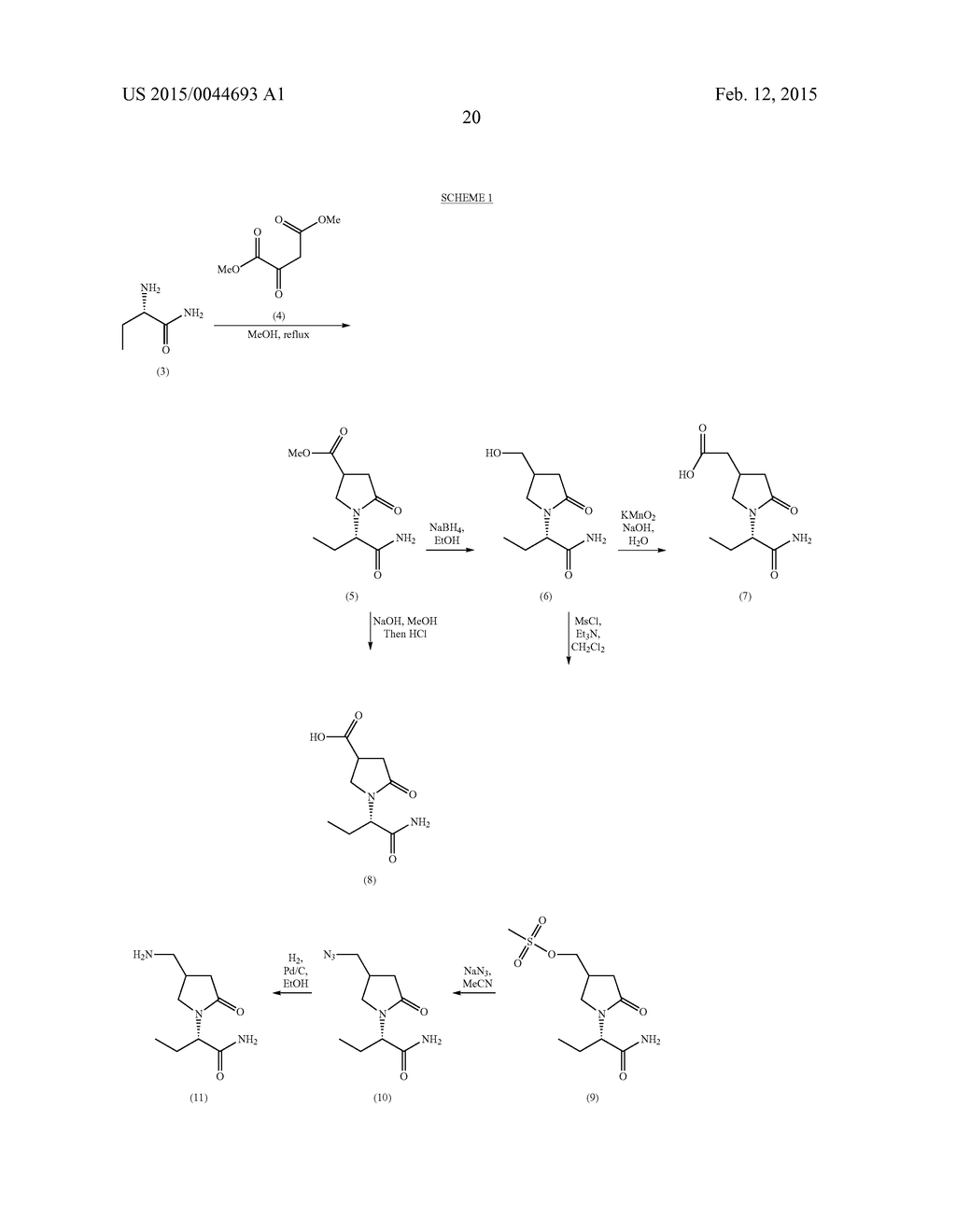 Levetiracetam Immunoassays - diagram, schematic, and image 26