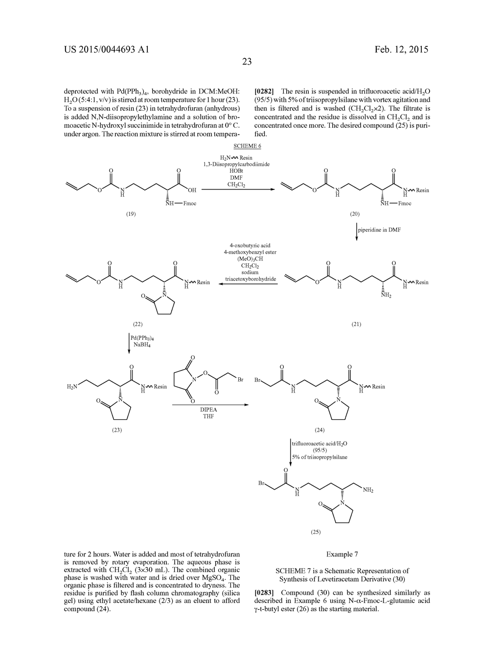 Levetiracetam Immunoassays - diagram, schematic, and image 29