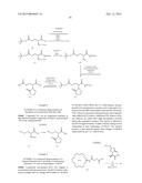 Levetiracetam Immunoassays diagram and image