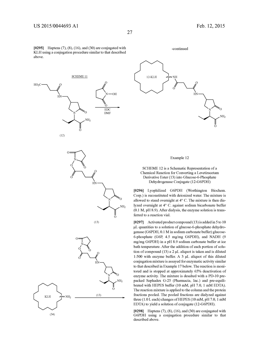 Levetiracetam Immunoassays - diagram, schematic, and image 33