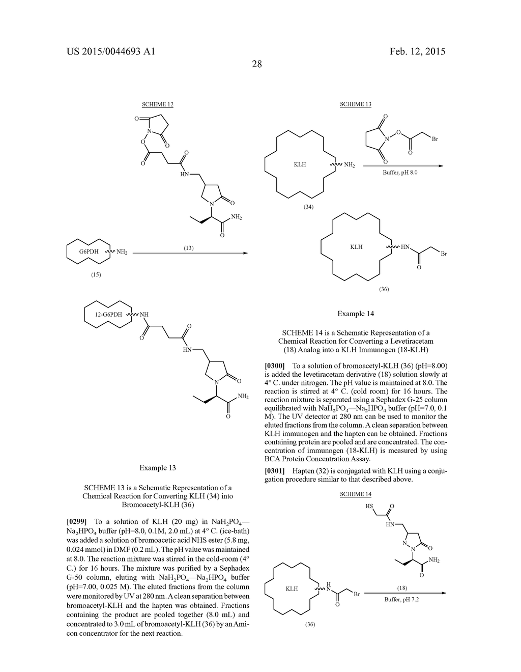 Levetiracetam Immunoassays - diagram, schematic, and image 34
