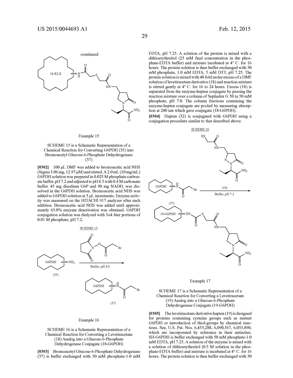 Levetiracetam Immunoassays - diagram, schematic, and image 35