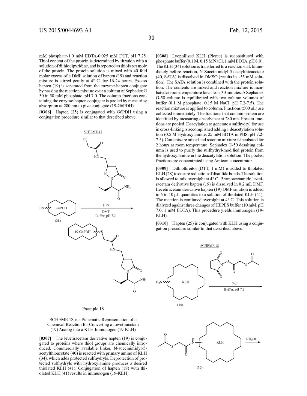 Levetiracetam Immunoassays - diagram, schematic, and image 36