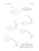 Levetiracetam Immunoassays diagram and image