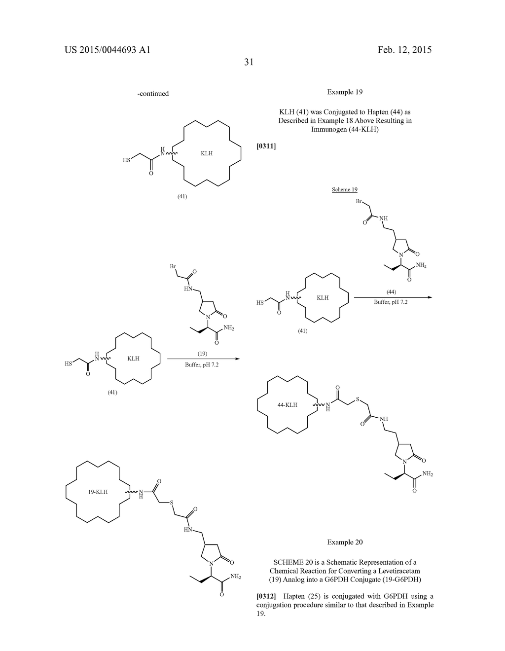 Levetiracetam Immunoassays - diagram, schematic, and image 37