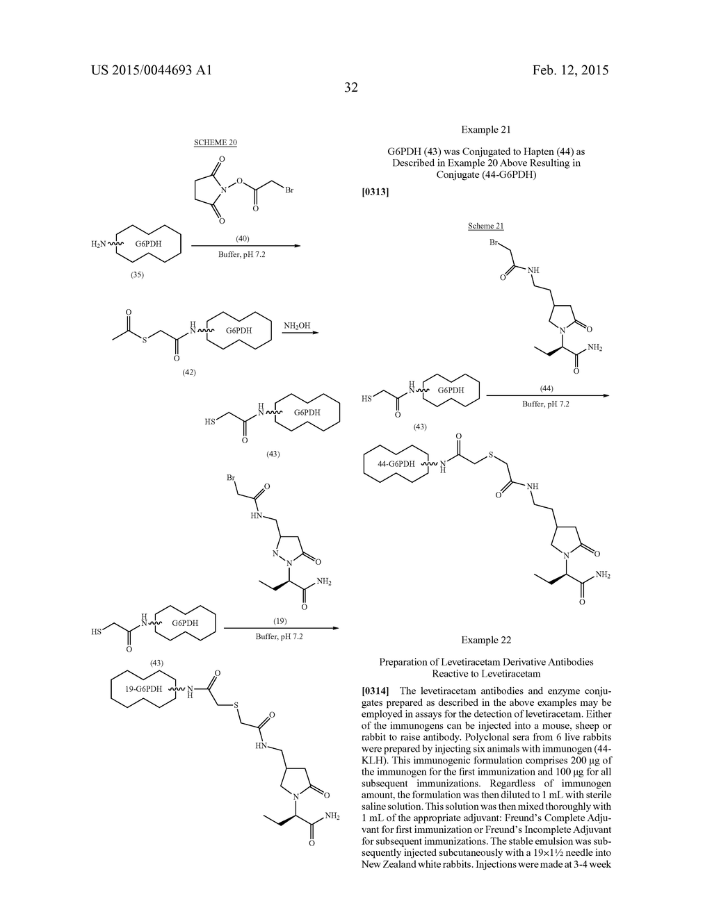 Levetiracetam Immunoassays - diagram, schematic, and image 38