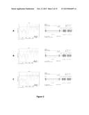 Method and a Kit To Detect Malignant Tumors and Provide a Prognosis diagram and image