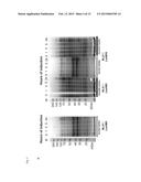 MEANS AND METHODS FOR DETERMINING NEUROTOXIN ACTIVITY BASED ON A MODIFIED     LUCIFERASE diagram and image