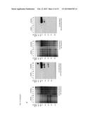 MEANS AND METHODS FOR DETERMINING NEUROTOXIN ACTIVITY BASED ON A MODIFIED     LUCIFERASE diagram and image