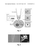 PHOTOTHERMAL SUBSTRATES FOR SELECTIVE TRANSFECTION OF CELLS diagram and image