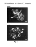 PHOTOTHERMAL SUBSTRATES FOR SELECTIVE TRANSFECTION OF CELLS diagram and image