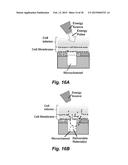 PHOTOTHERMAL SUBSTRATES FOR SELECTIVE TRANSFECTION OF CELLS diagram and image