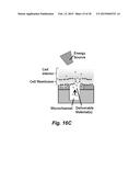 PHOTOTHERMAL SUBSTRATES FOR SELECTIVE TRANSFECTION OF CELLS diagram and image