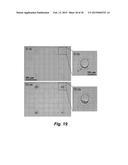 PHOTOTHERMAL SUBSTRATES FOR SELECTIVE TRANSFECTION OF CELLS diagram and image