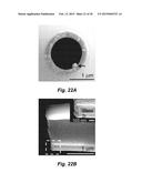 PHOTOTHERMAL SUBSTRATES FOR SELECTIVE TRANSFECTION OF CELLS diagram and image