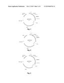 POLYPEPTIDES HAVING ALPHA-AMYLASE ACTIVITY AND POLYNUCLEOTIDES ENCODING     SAME diagram and image