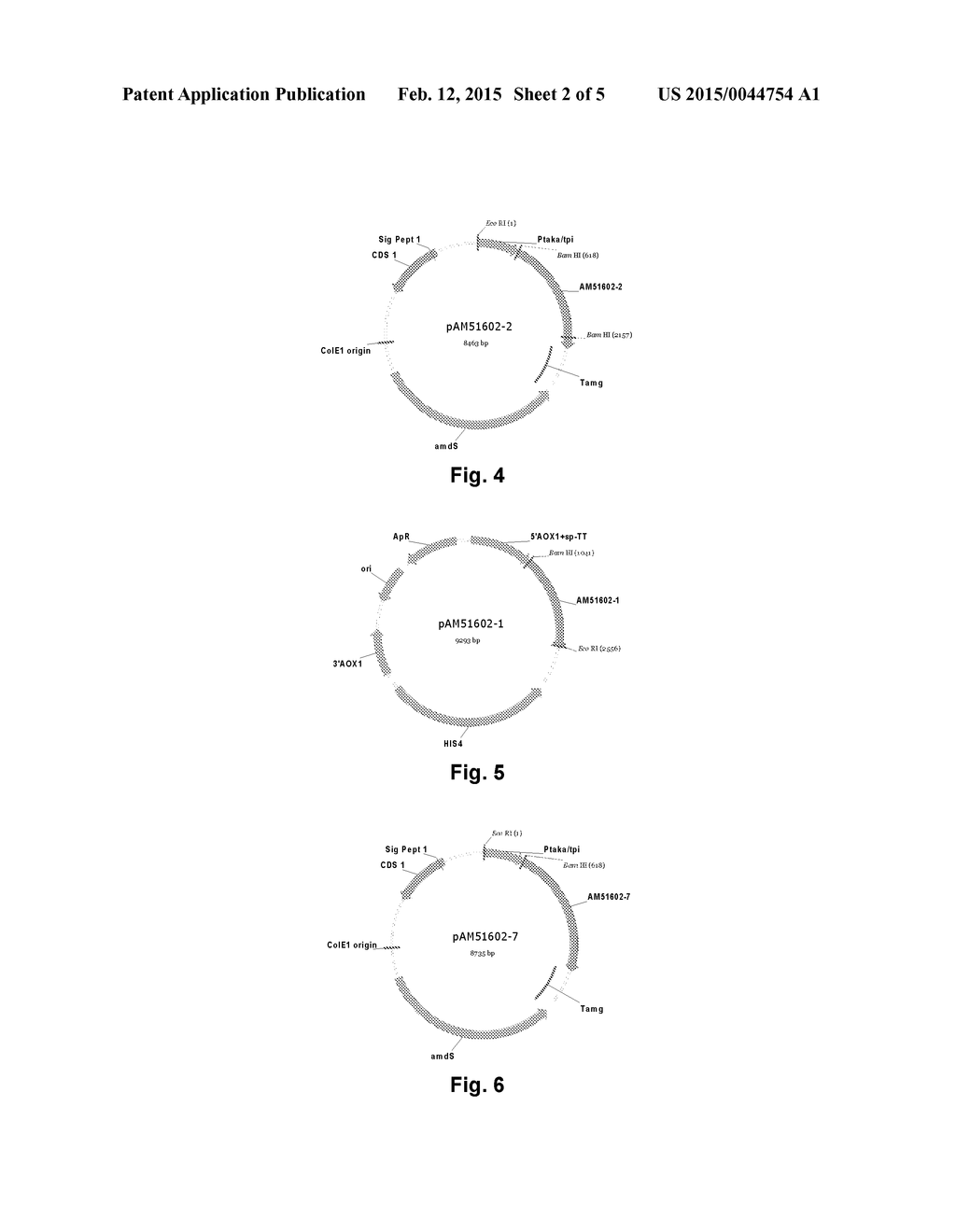 POLYPEPTIDES HAVING ALPHA-AMYLASE ACTIVITY AND POLYNUCLEOTIDES ENCODING     SAME - diagram, schematic, and image 03