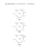 POLYPEPTIDES HAVING ALPHA-AMYLASE ACTIVITY AND POLYNUCLEOTIDES ENCODING     SAME diagram and image